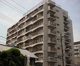 松原市 新築一戸建て住宅